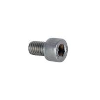 Mounting Screw M8x14mm SS304, 6mm Hex, F/Glass Clamp