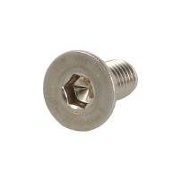 Insex Screw M6x14mm, 4mm Hex, F/SS-Glass Clamps, SS304