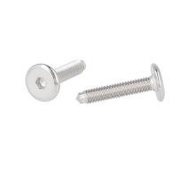 Fifteen Screw, M6x30mm (28+3), SS316, Pointed