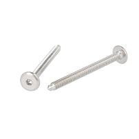 Fifteen Screw, M6x70mm (68+3), SS316, Pointed