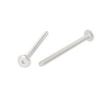 Fifteen Screw, M6x91mm (88+3), Stainless Steel, Pointed