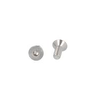 Insex Screw, M4x10mm, Stainless Steel A2, DIN 7991, W/Hex
