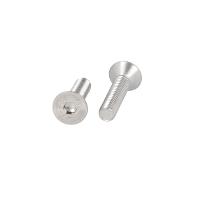 Insex Screw, M6x25mm, Stainless Steel A2, DIN 7991, W/Hex