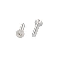 Insex Screw, M6x35mm, Stainless Steel A2, DIN 7991, W/Hex