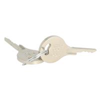 Extra Brass Key F/Lock C409, CPL, SISO Logo, Key Code #2331