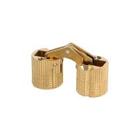 Cylinder Hinge, ø16mm, Brass Body & SS Pin & Screws