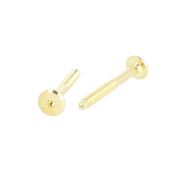 Fifteen Screw, M6x50mm, Brass plated, Pointed