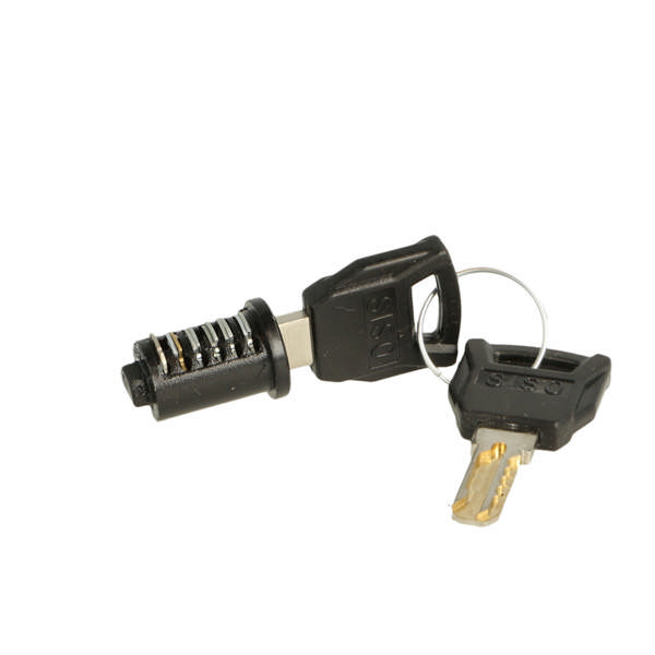 Loose MIC Cylinder #01, Black, Key to Differ, Snake CK keys