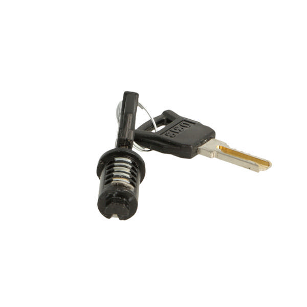 Loose MIC Cylinder #01, Black, Key to Differ, Snake CK keys