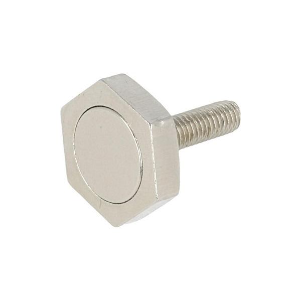 Magnet Screw F/Sauna, M6x28mm, W/22mm Hex Head, NPL