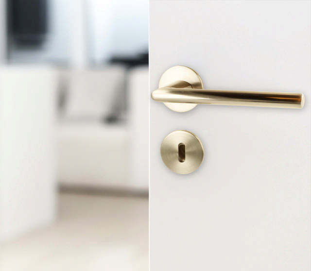 Zamak Door Handle 