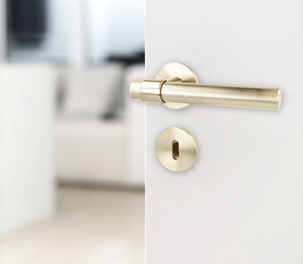 Zamak Door Handle 