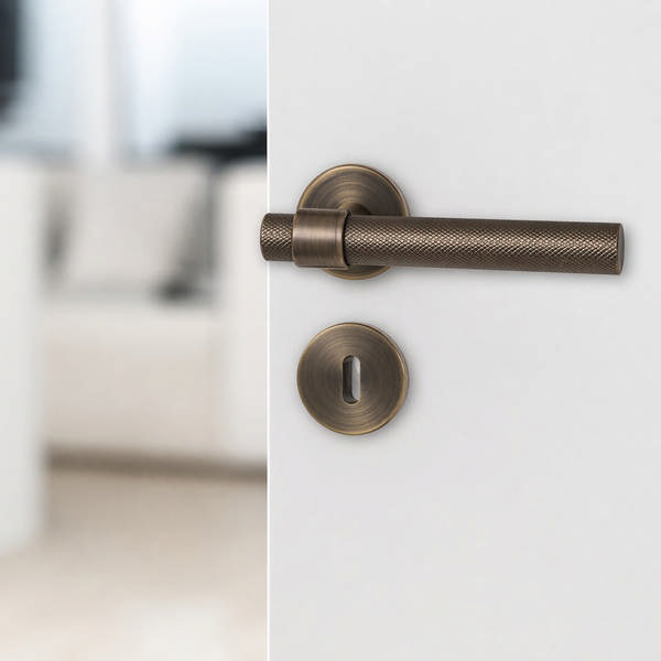 Zamak Door Handle 