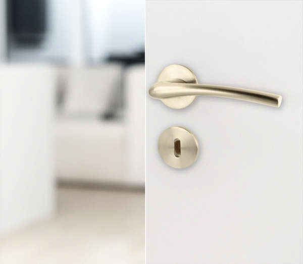 Zamak Door Handle 