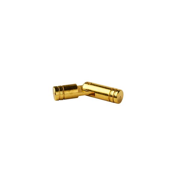 Mini Brass Cylinder Hinge, Brass Plated, ø 5 x 25mm